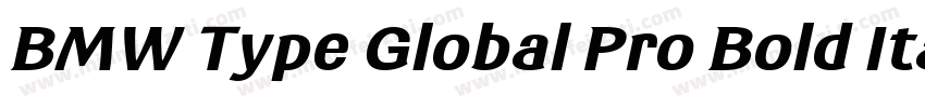 BMW Type Global Pro Bold Italic字体转换